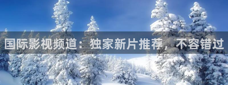午夜a级理论片915影院