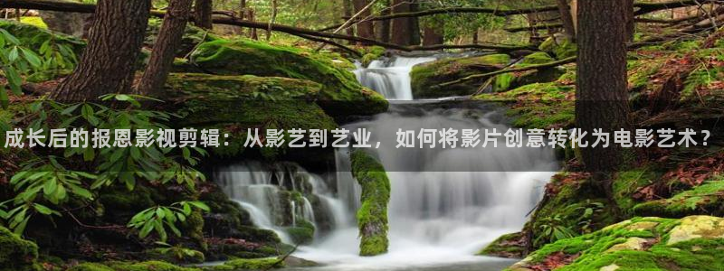 4480私人午夜影院在线观看