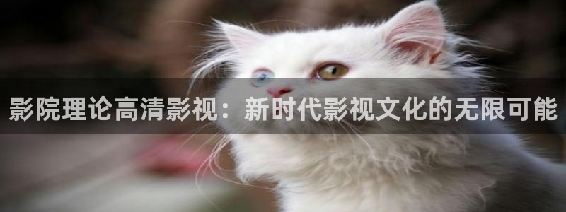 免费午夜伦理影院