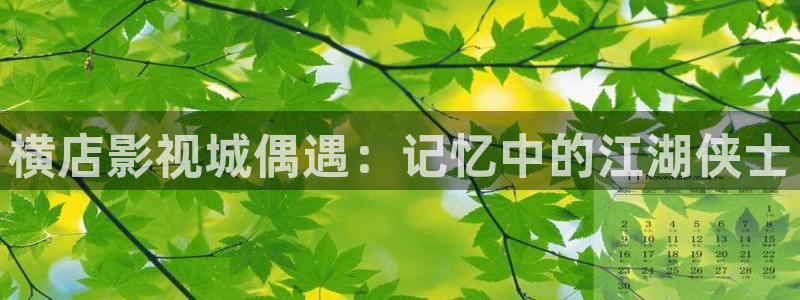 午夜剧场秋霞神马影院